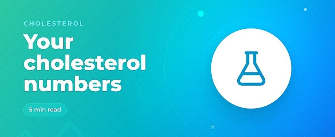Cholesterol Numbers Explained: LDL, HDL, Triglycerides and Healthy Ranges