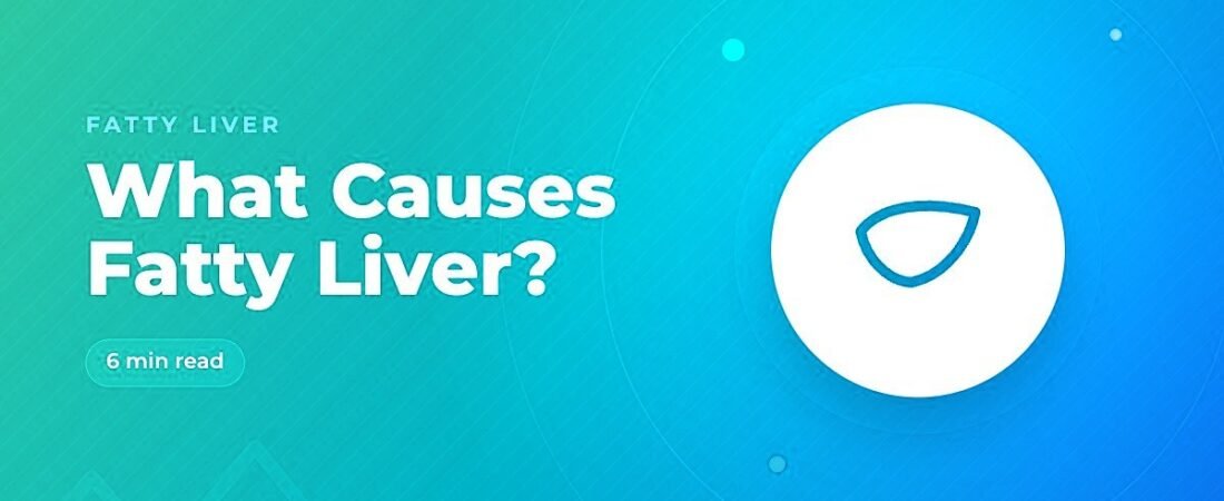 What Causes Fatty Liver? The Main Drivers